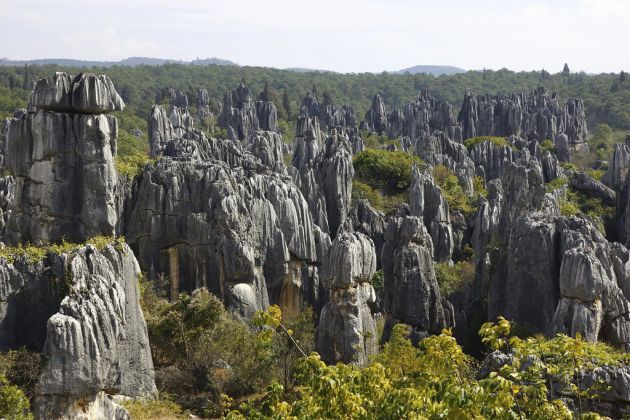 stone forest, china