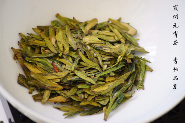 霞浦元宵茶:波澜壮阔终将不敌清浅和风