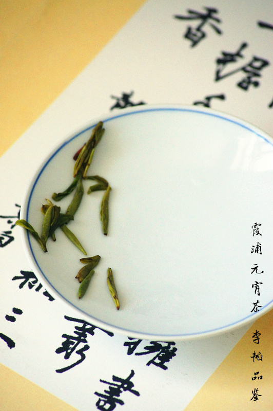 霞浦元宵茶:波澜壮阔终将不敌清浅和风