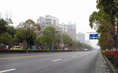 街头街尾绿醉钱江畔 下沙"东大门"形象迎来大提升-新闻中心-温州网