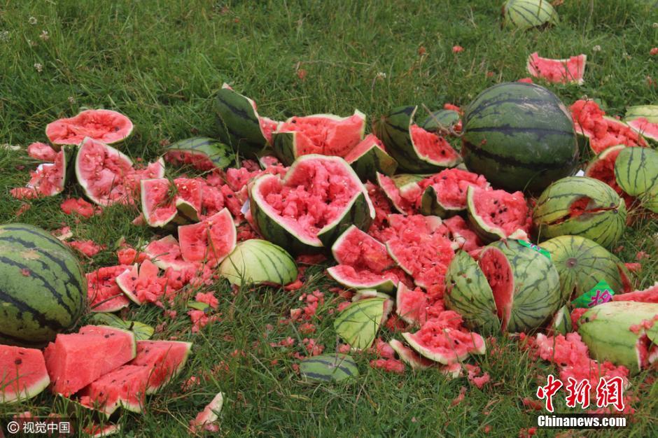 重庆千名考生砸3吨西瓜 疯狂释放压力