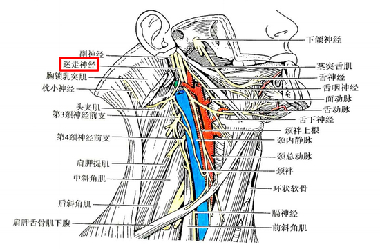 您当前的位置 :  新闻中心 实用资讯 生活资讯 正文  迷失神经是个爱