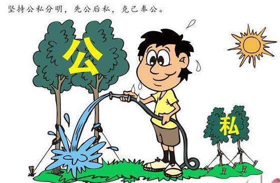 ��Ա�������ɹ淶����