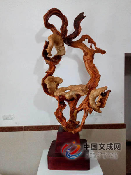 文成县根雕作品在福建根雕艺术展喜获三金一铜