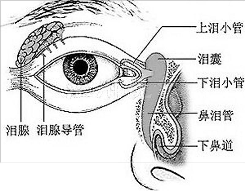 男婴一出生就泪流不止 医生用比头发丝还细的线接上