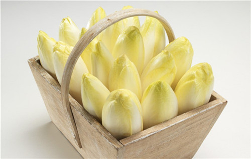 温州网讯 首上唯品会订出菊苣260箱,并在淘宝网成功开店,让欧洲