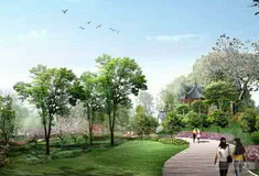 温州要建12条彩色森林景观带