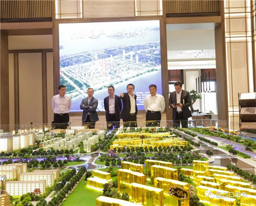 温州市委常委,副市长陈强赴瓯江口调研工作