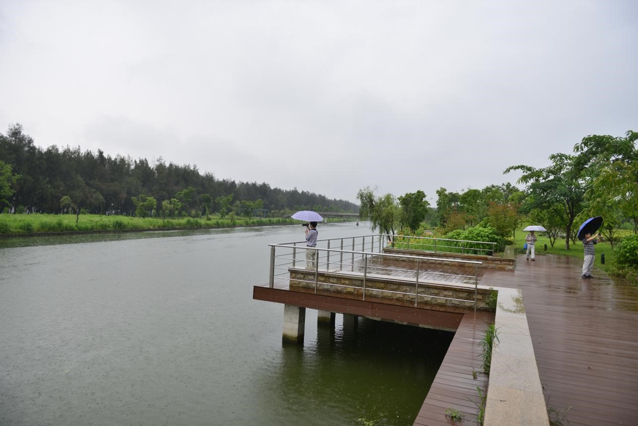 乐清市胜利塘河