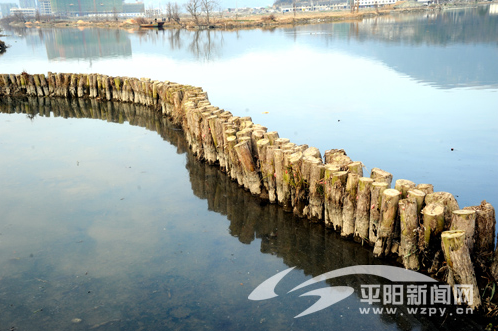 平阳县东塘河鳌江段