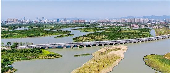 温州三垟湿地蝶变升级 家门口邂逅“世外桃源”-新闻中心-温州网