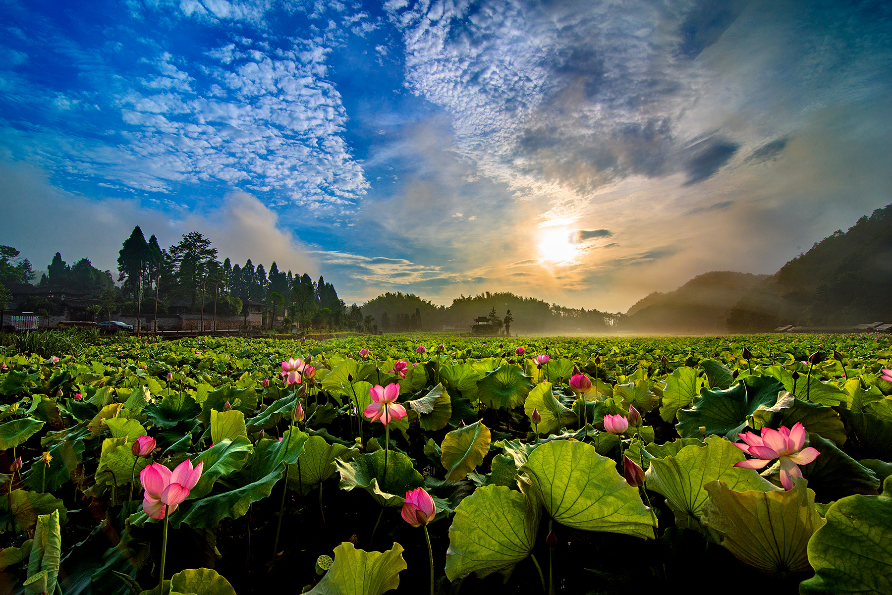 七星武阳乡村旅游景区