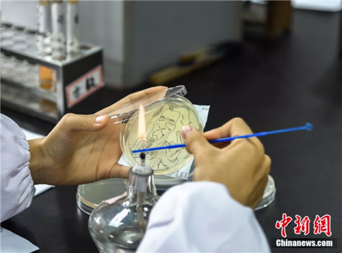 还不能忽视对应培养基的使用方式