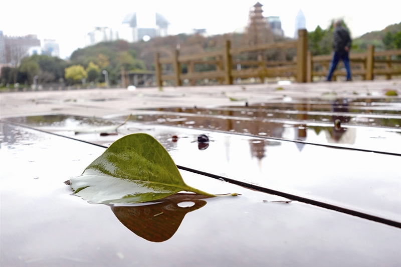 溫州天氣連日暫別冷颼颼沒完沒了陰雨天