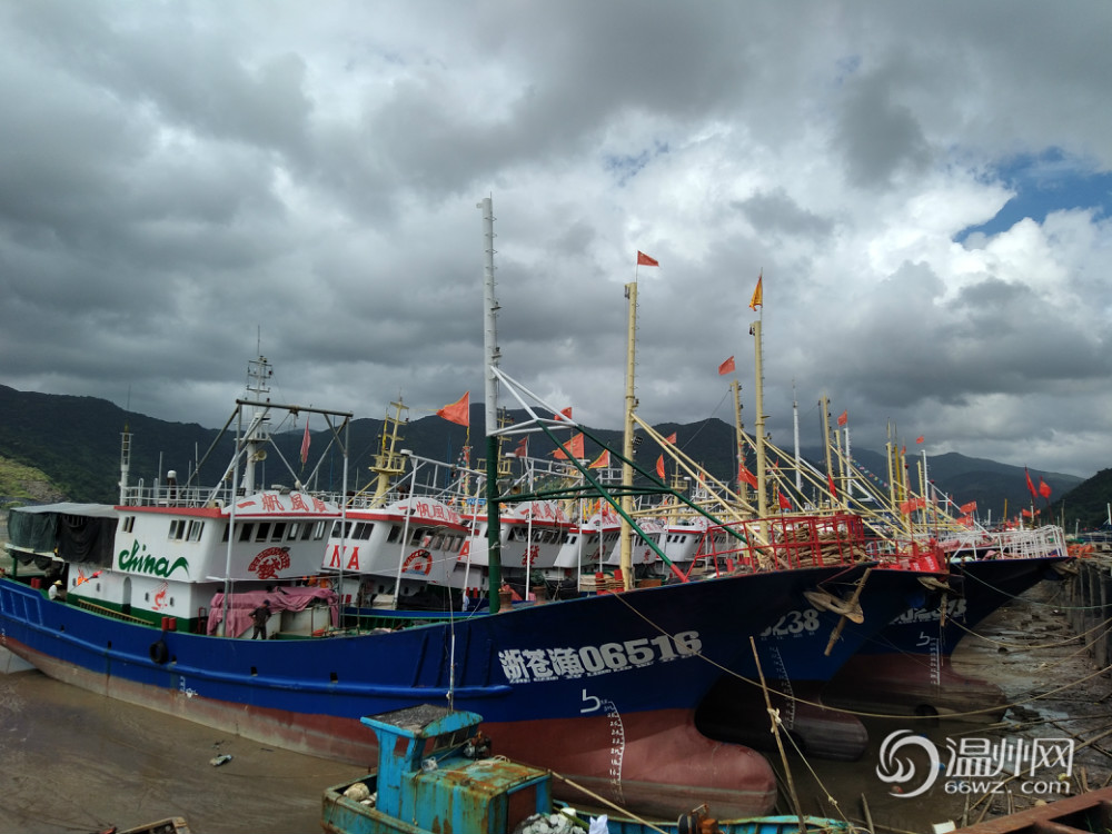 苍南赤溪镇大渔湾海域受台风影响 三百多艘大小渔船进港避风