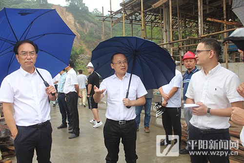 平阳县委书记董智武的勤政日历