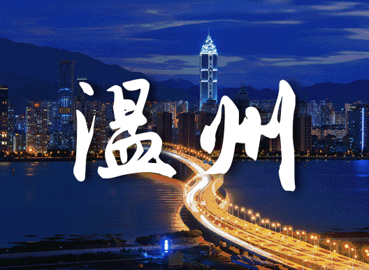 温州2020：聚焦“六个重大” 做到“六个集中”