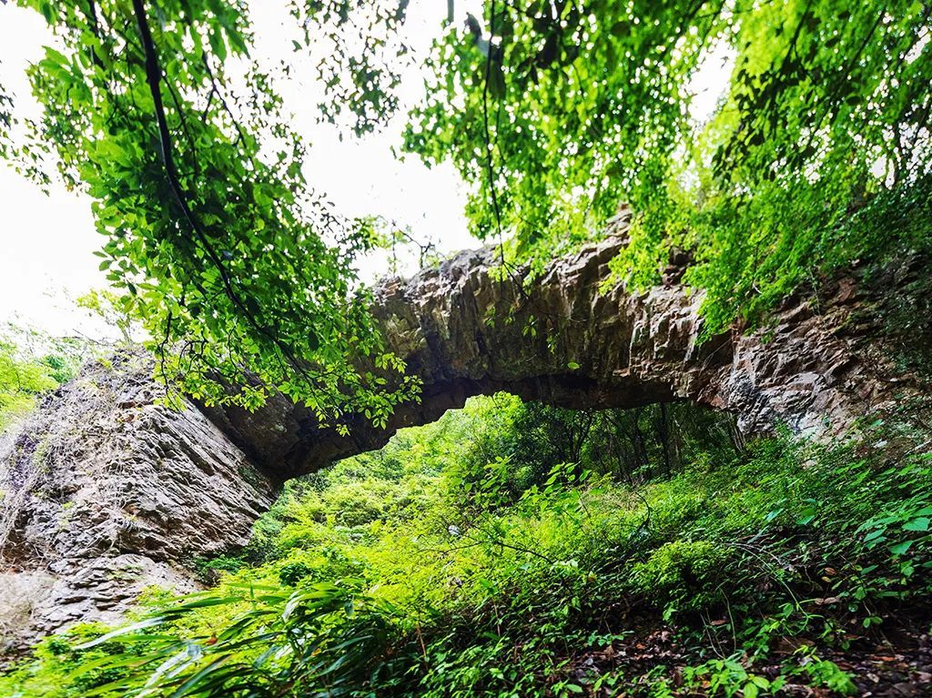 鬼斧神工温州有座仙人桥美得像童话世界