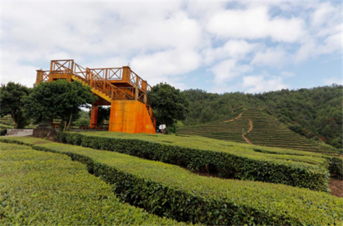 温州新增1个3A级景区镇、11个3A级景区村!出游排起来!-新闻中心-温州网