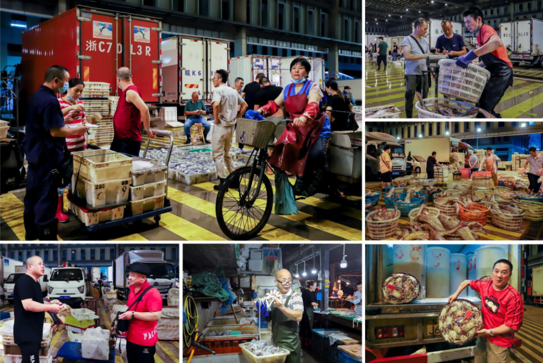 看,镜头里发展的温州!