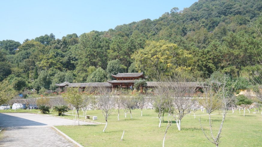 瓯北珠岙村:产业兴旺,日子红火"温州童装第一村"的幸福小康生活