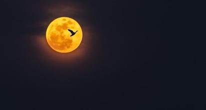 散文依然月牙月亮一盏等你来