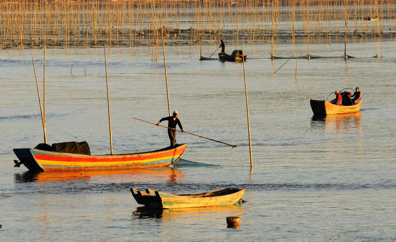 用光影描绘"海上诗行" 苍南沿浦着力打造"滩涂网红摄影打卡点"-新闻中