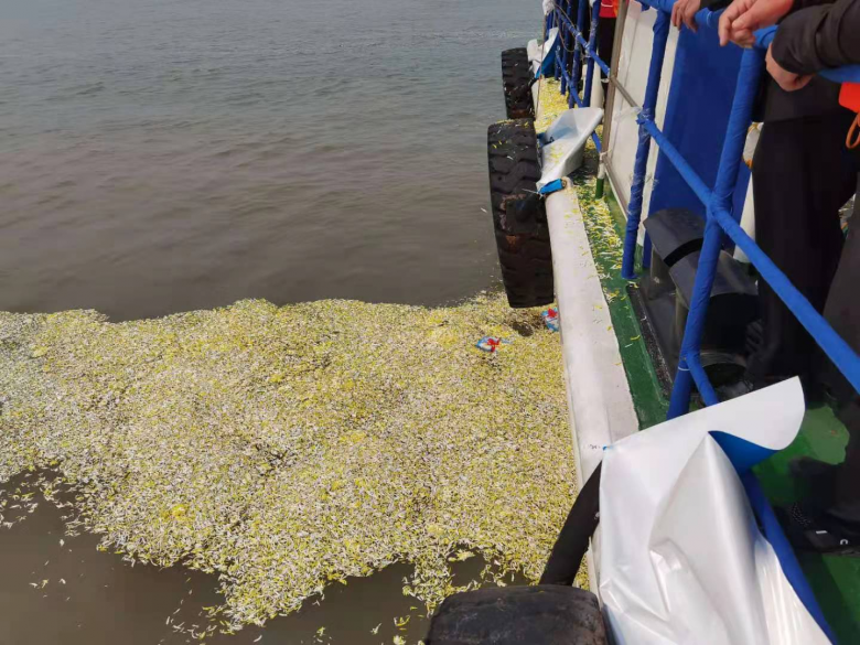 温州举行骨灰联合海葬仪式 逝者海葬人数创历史新高