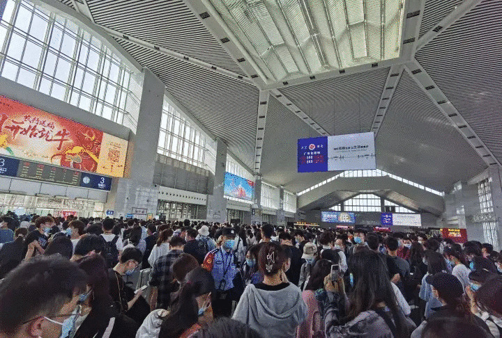 有人堵在高速上遛狗 今年五一黑马目的地出炉