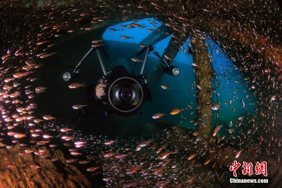 水下摄影师拍三亚：海底世界惊艳曝光