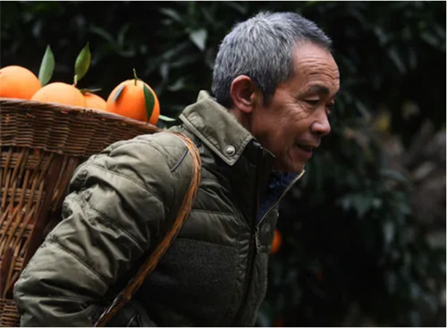 1995年12月,毛相林接任老下庄村党支部书记兼村主任,下庄的闭塞和