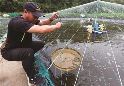 来大门岛看花看海寻美味