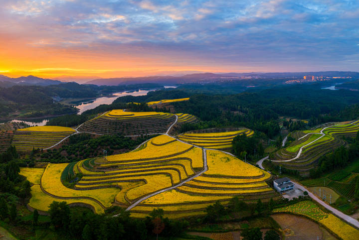 文成百丈漈镇邢越锋:奋力交出后5a时代共同富裕高分报表