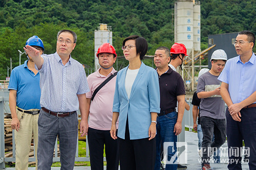 平阳县县长黄慧图片