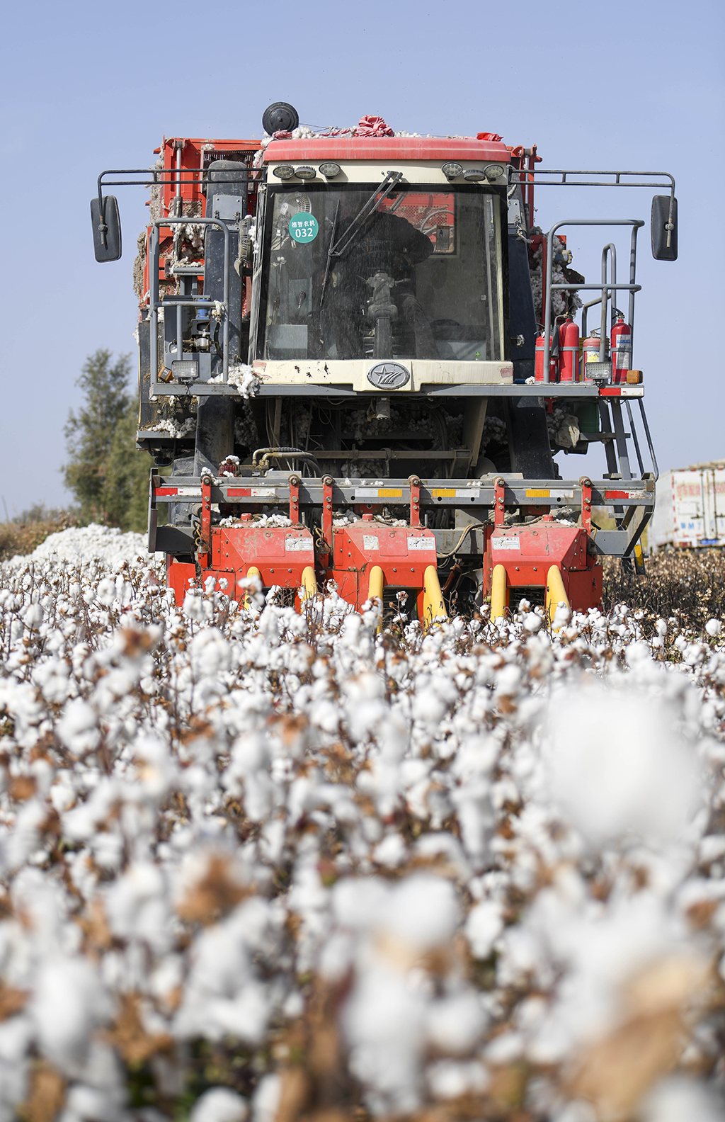 中国最大产棉区——新疆进入棉花采收季