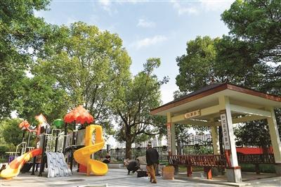 鹿城南汇街道探索基层治理打造共享社幸福里在旧改破题中重塑邻里关系