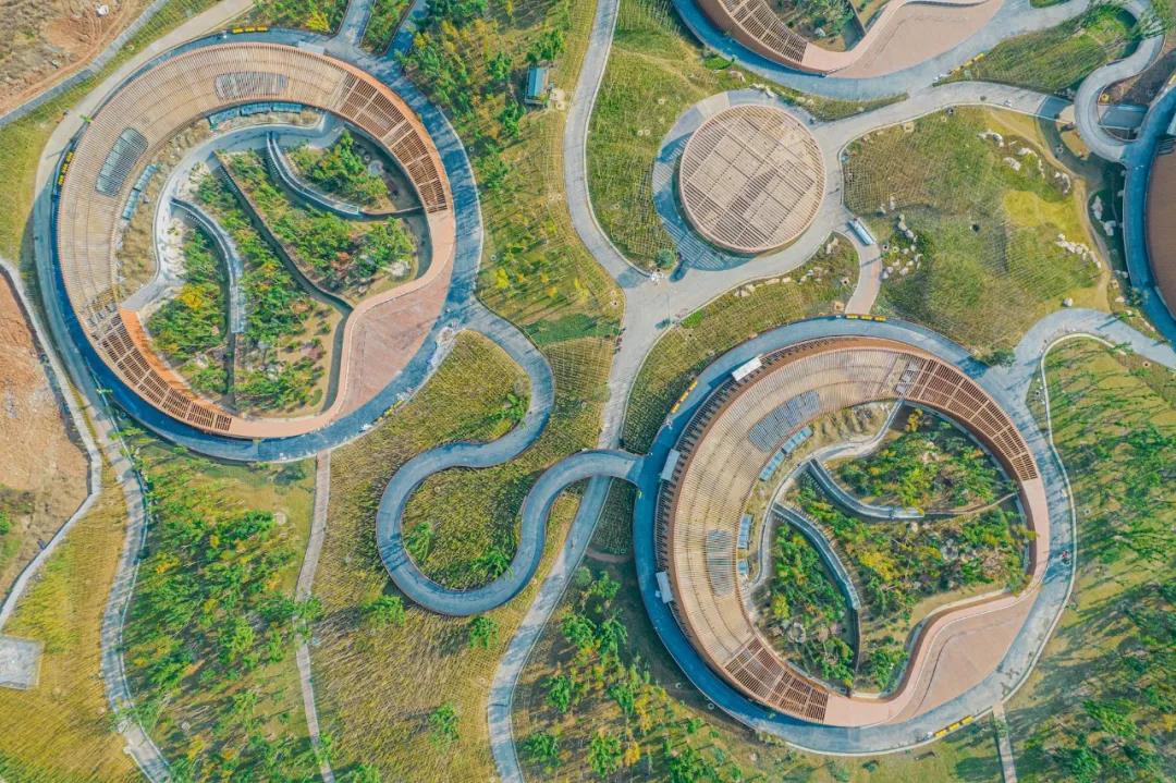 12月7日,成都商报-红星新闻记者从成都天府绿道微信公众号获悉,熊猫