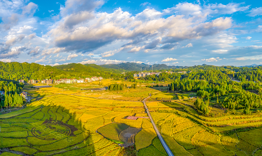 国字号温州农村致富大生态闯出一片天
