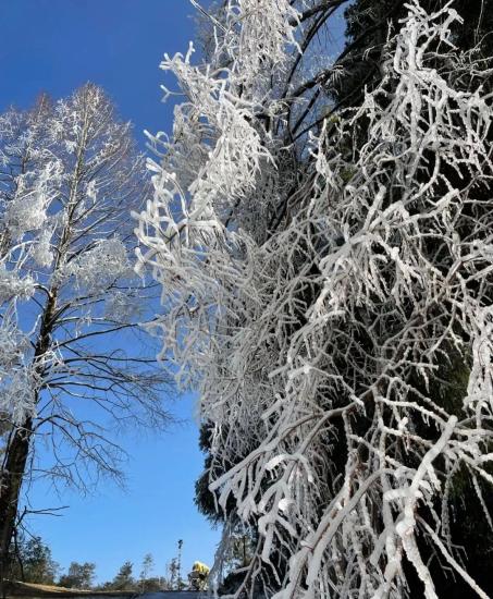 温州这处高山公园有雪景南方冬日里的浪漫