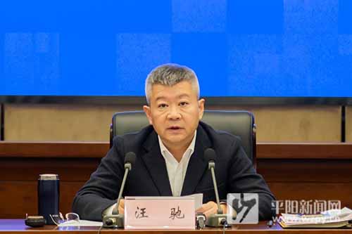 平阳县委常委会召开党史学习教育专题民主生活会持续用力抓好整改以