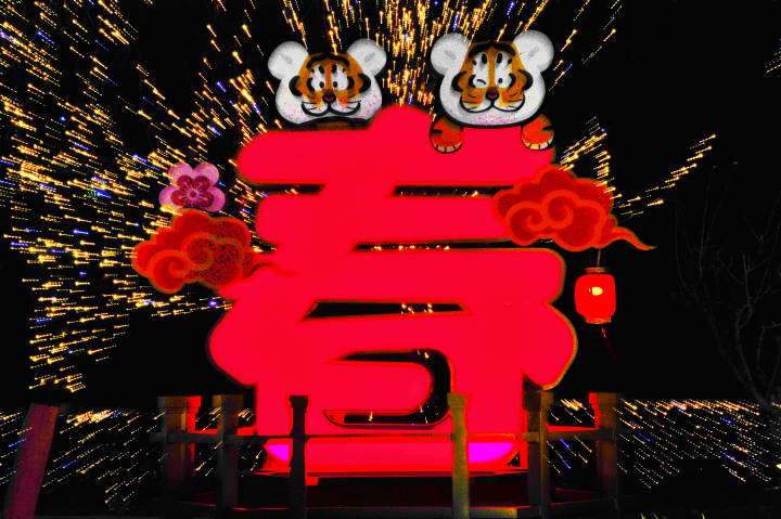 虎春.jpg 虎春.jpg