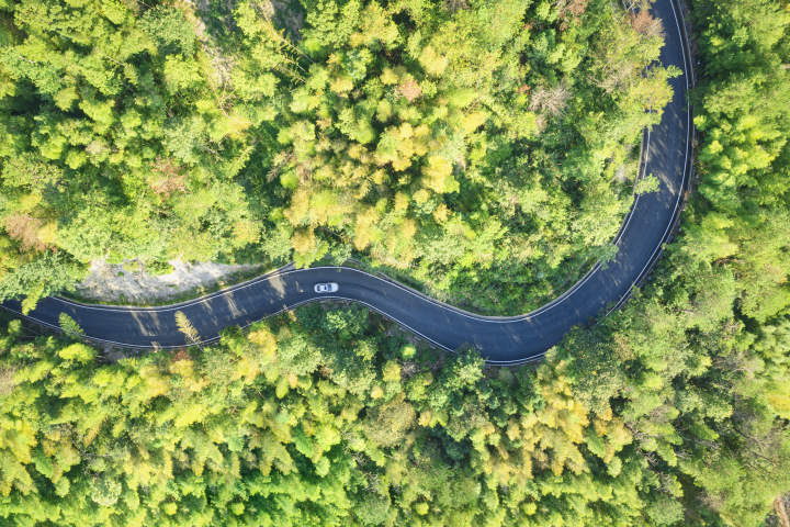 春天在路上.jpg 春天在路上.jpg