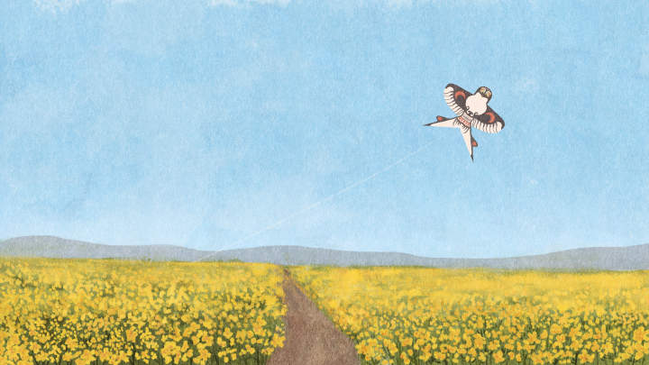 风筝.jpg 风筝.jpg