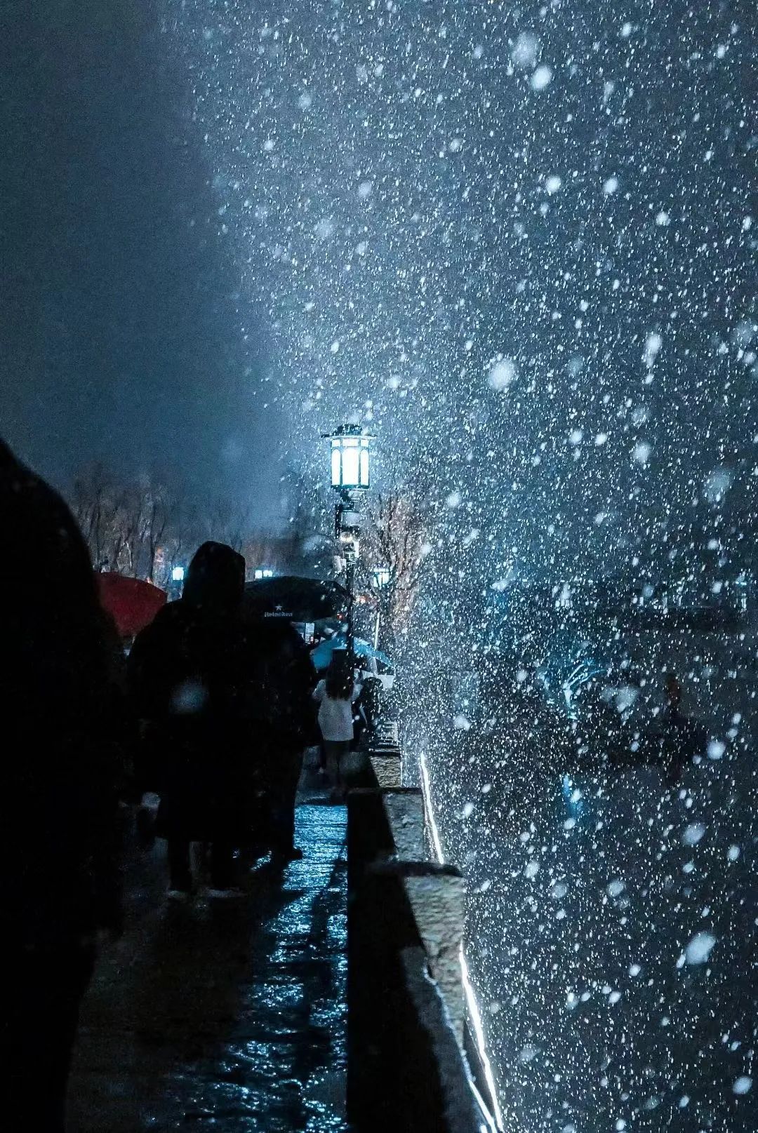下雪的夜景图片真实图片