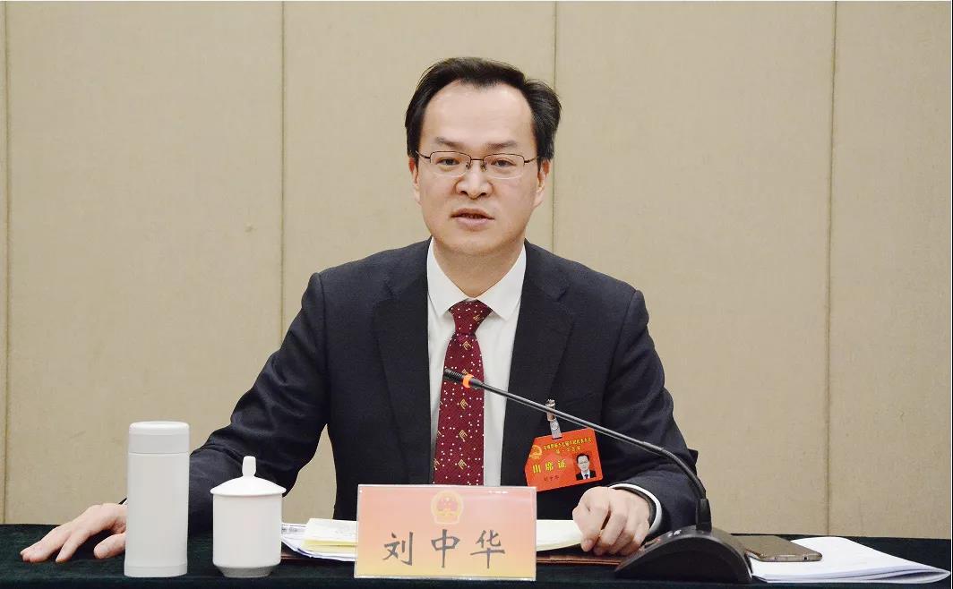 文成县委书记刘中华参加大峃代表团玉壶代表团南田代表团审议