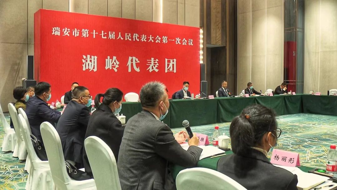 在湖岭代表团,麻胜聪强调瑞安要实现共同富裕先行示范,重点在西部乡镇