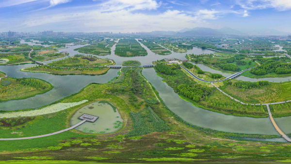 温州要创建“国际湿地城市”