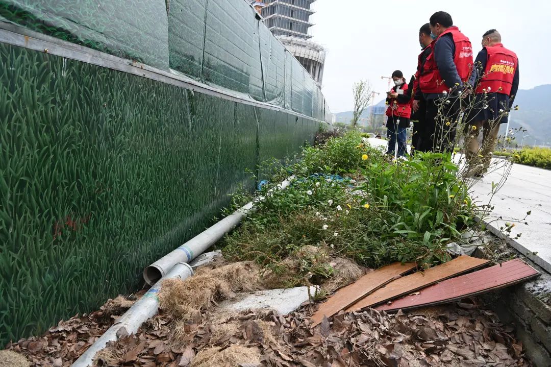 杂物堆积、找不到公厕…温州龙舟运动中心这些不足亟待解决