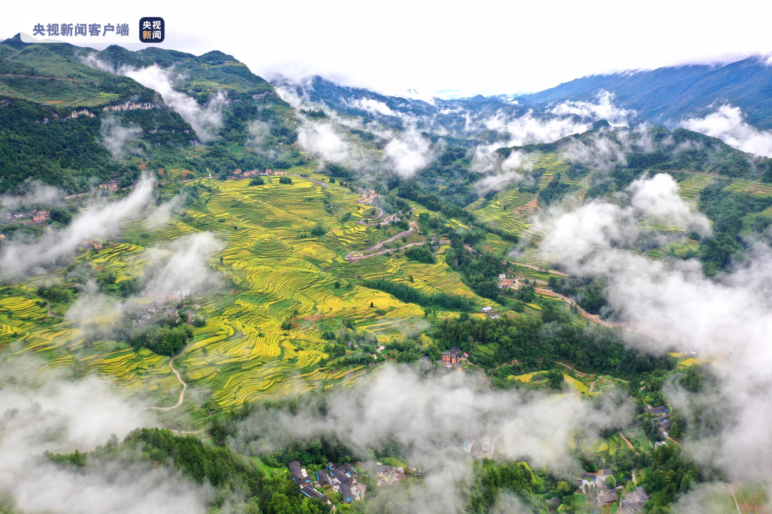 走进老区看新貌丨绿水青山笑开颜巴山渝水气象新