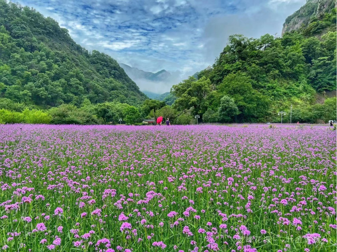 温州文广旅局推出旅游发展十大举措，加快国际化休闲度假旅游城市打造